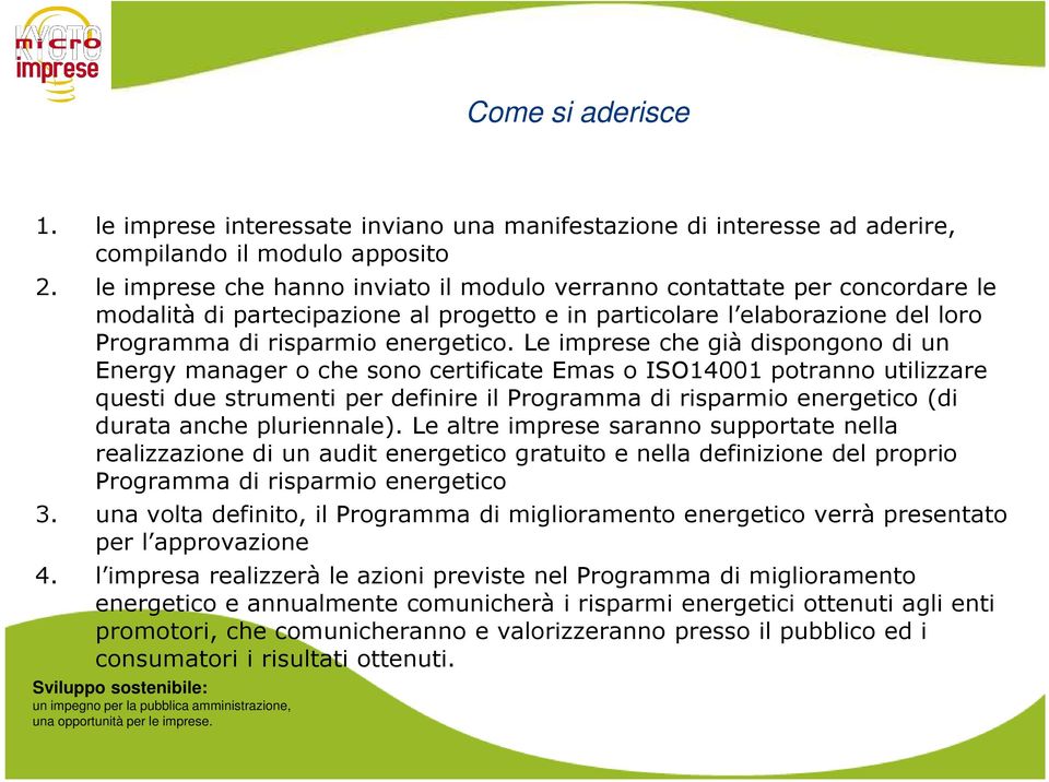 Le imprese che già dispongono di un Energy manager o che sono certificate Emas o ISO14001 potranno utilizzare questi due strumenti per definire il Programma di risparmio energetico (di durata anche