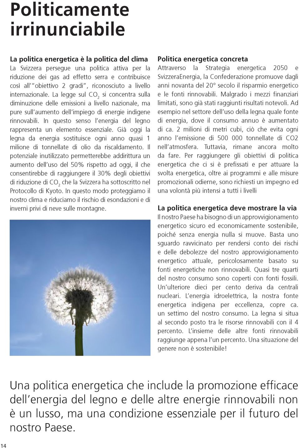 In questo senso l energia del legno rappresenta un elemento essenziale. Già oggi la legna da energia sostituisce ogni anno quasi 1 milione di tonnellate di olio da riscaldamento.