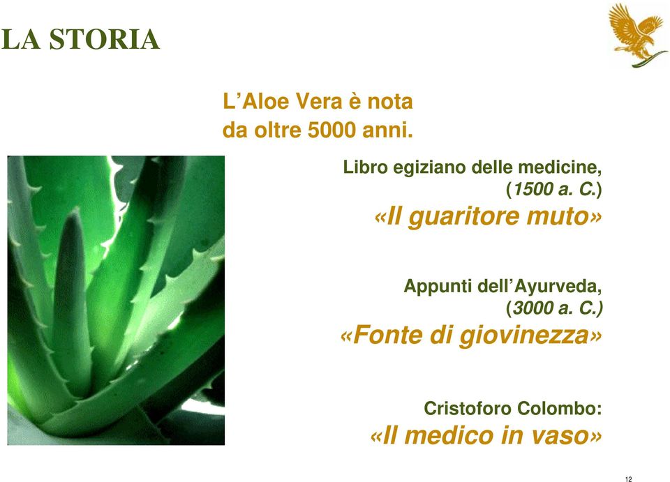 ) «Il guaritore muto» Appunti dell Ayurveda, (3000 a.