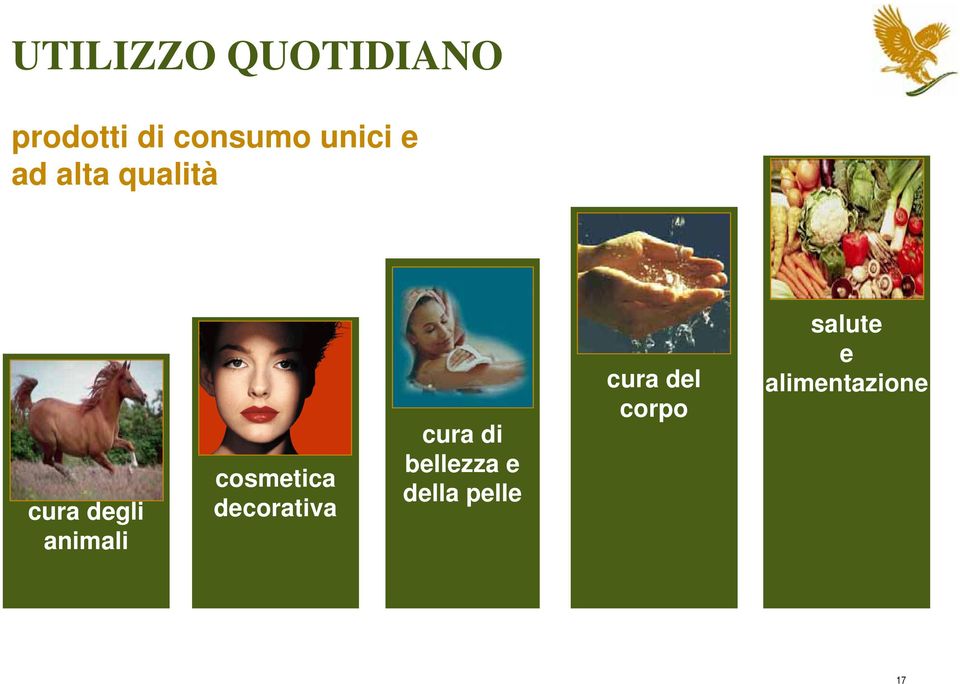 cosmetica decorativa cura di bellezza e