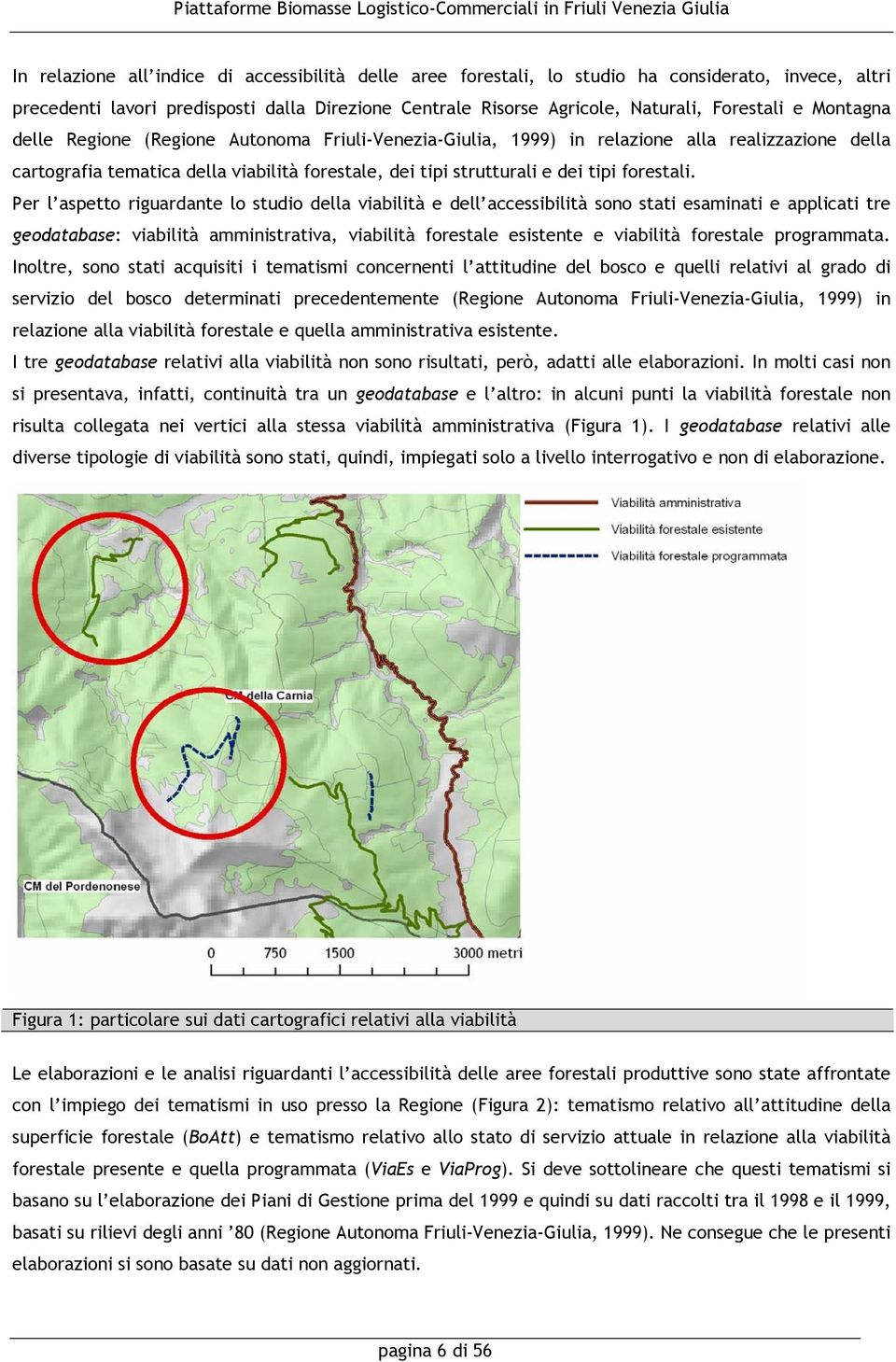 Per l aspetto riguardante lo studio della viabilità e dell accessibilità sono stati esaminati e applicati tre geodatabase: viabilità amministrativa, viabilità forestale esistente e viabilità