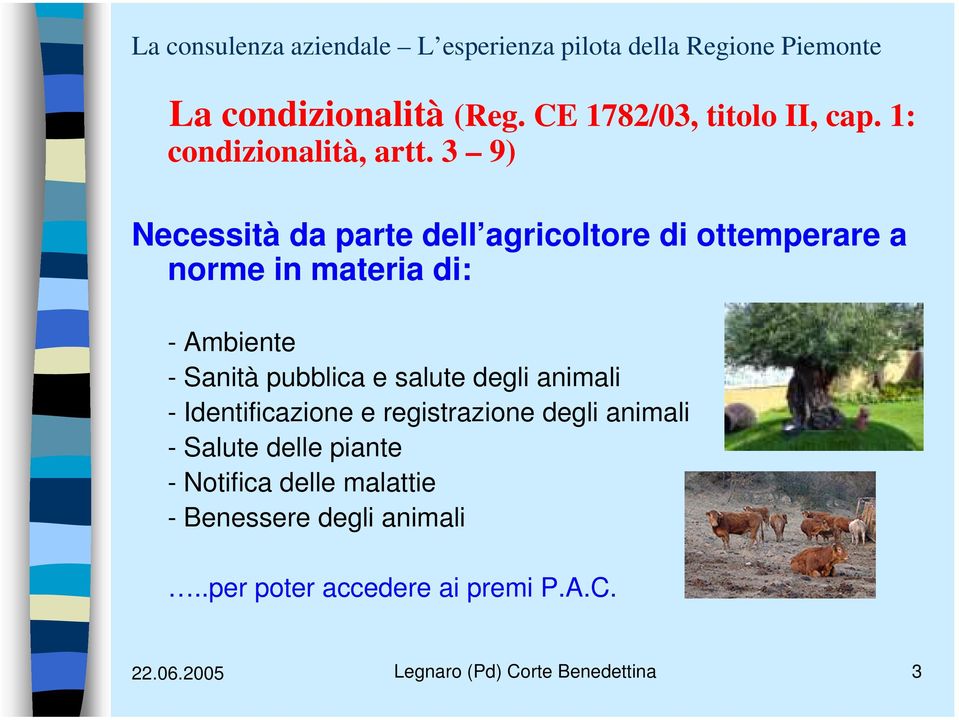 pubblica e salute degli animali - Identificazione e registrazione degli animali - Salute delle piante