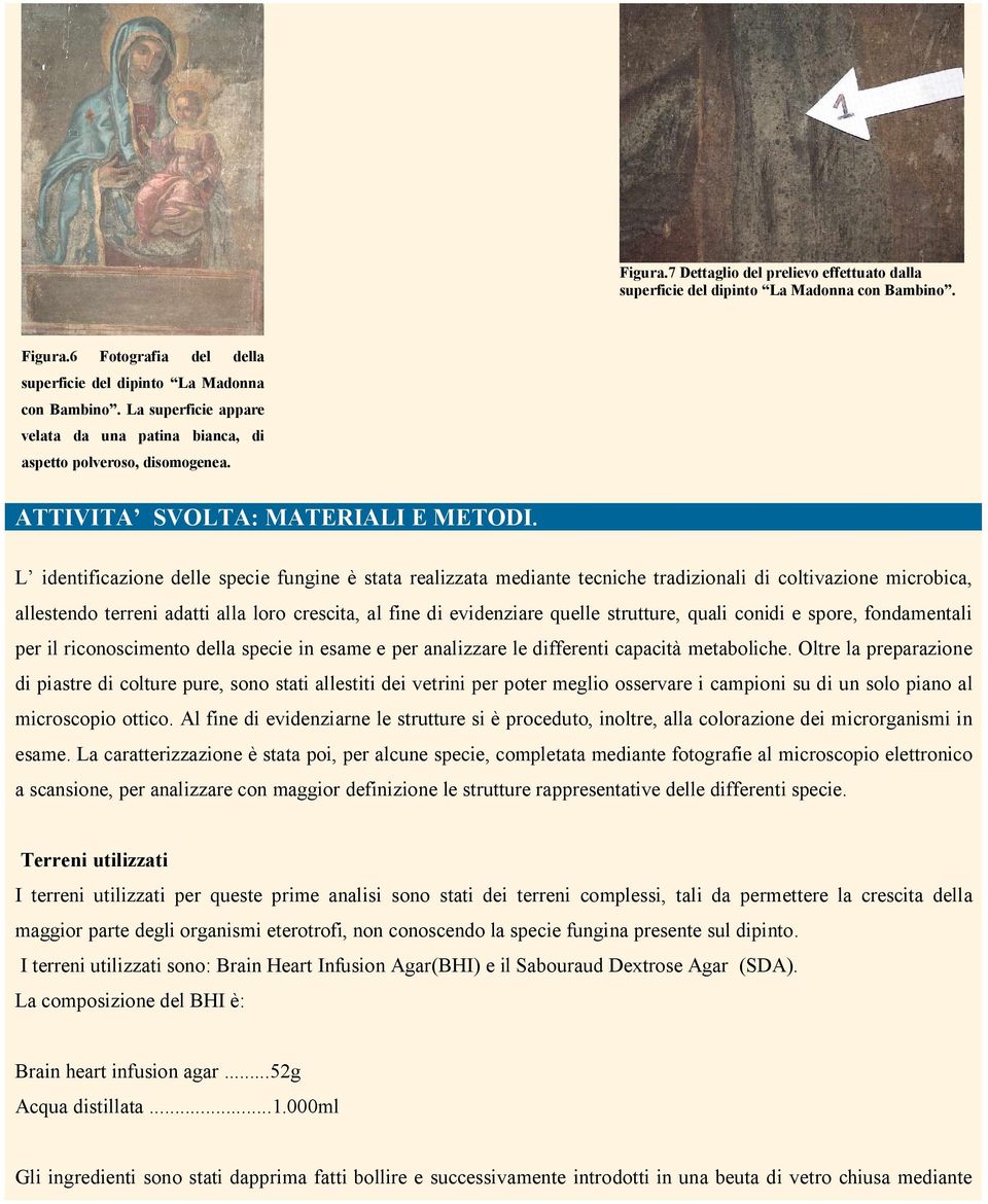 L identificazione delle specie fungine è stata realizzata mediante tecniche tradizionali di coltivazione microbica, allestendo terreni adatti alla loro crescita, al fine di evidenziare quelle