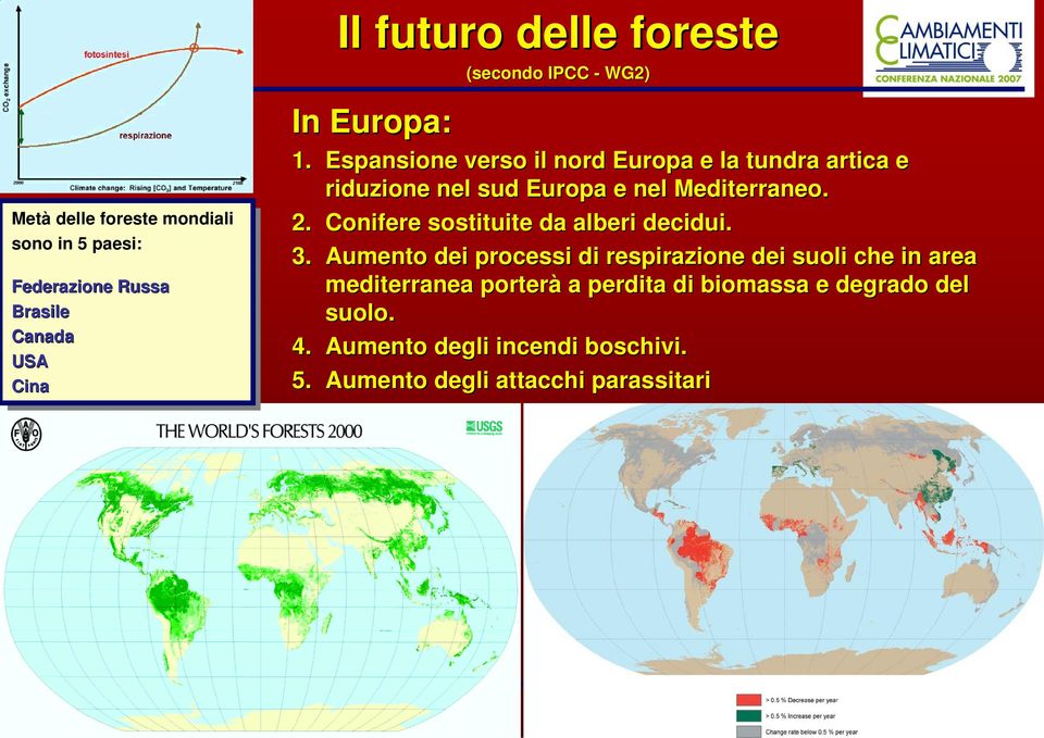 Espansione verso il nord Europa e la tundra artica e riduzione nel sud Europa e nel Mediterraneo. 2. Conifere sostituite da alberi decidui. 3.