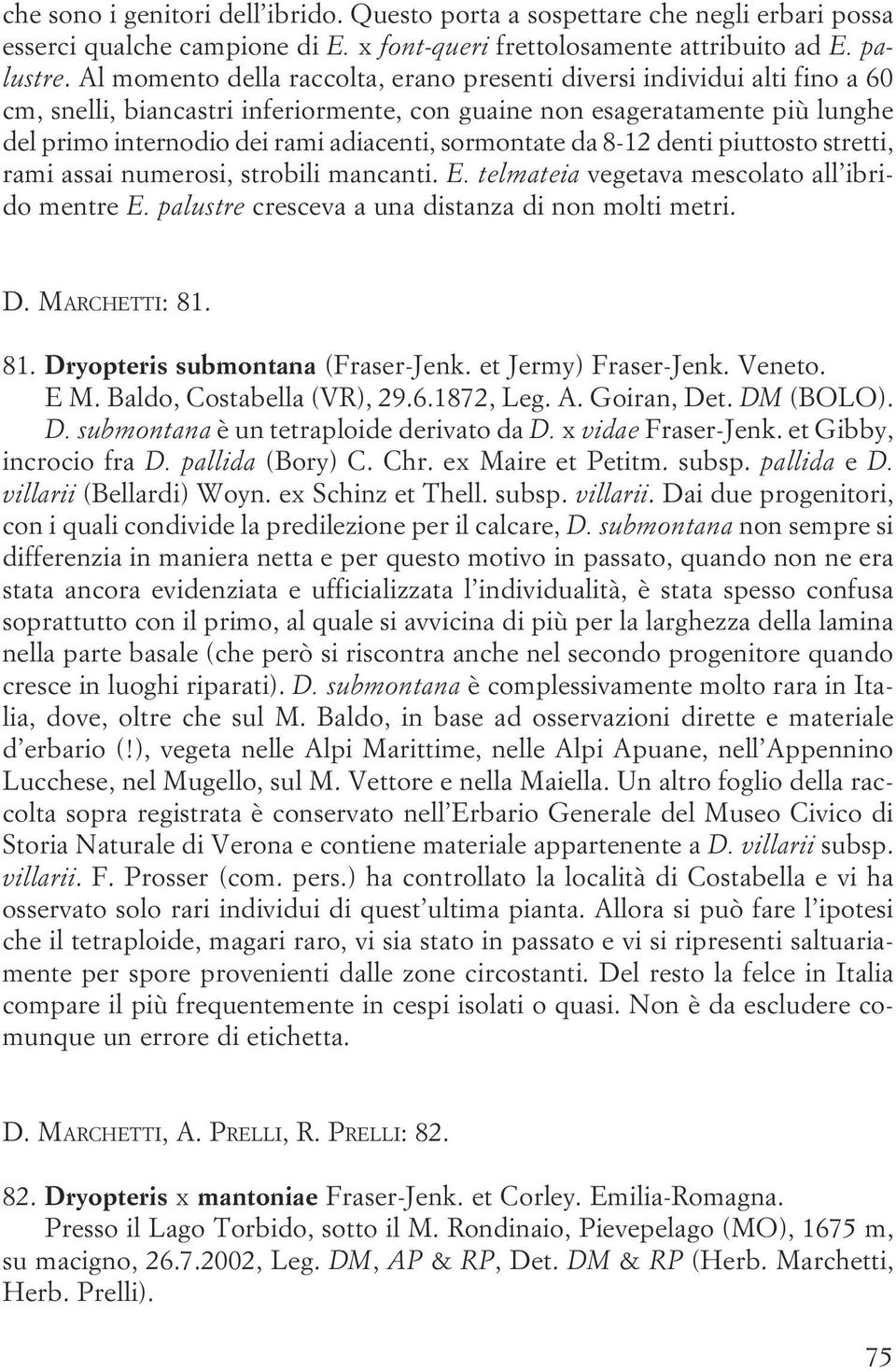 stretti, rami assai numerosi, strobili mancanti E telmateia vegetava mescolato all ibrido mentre E palustre cresceva a una distanza di non molti metri D MARCHETTI: 81 81 Dryopteris submontana