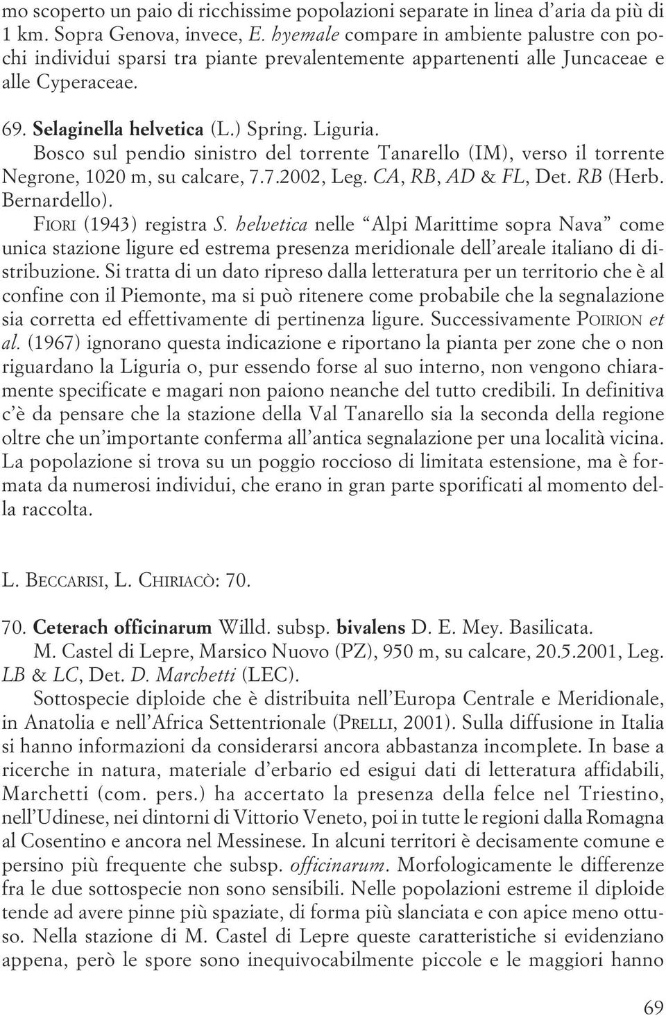 calcare, 7 7 2002, Leg CA, RB, AD & FL, Det RB (Herb Bernardello) FIORI (1943) registra S helvetica nelle Alpi Marittime sopra Nava come unica stazione ligure ed estrema presenza meridionale dell