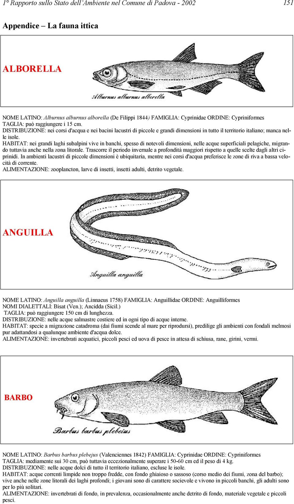 HABITAT: nei grandi laghi subalpini vive in banchi, spesso di notevoli dimensioni, nelle acque superficiali pelagiche, migrando tuttavia anche nella zona litorale.