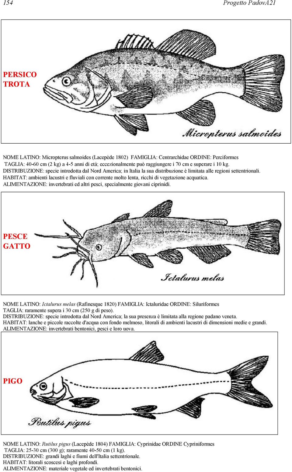 HABITAT: ambienti lacustri e fluviali con corrente molto lenta, ricchi di vegetazione acquatica. ALIMENTAZIONE: invertebrati ed altri pesci, specialmente giovani ciprinidi.