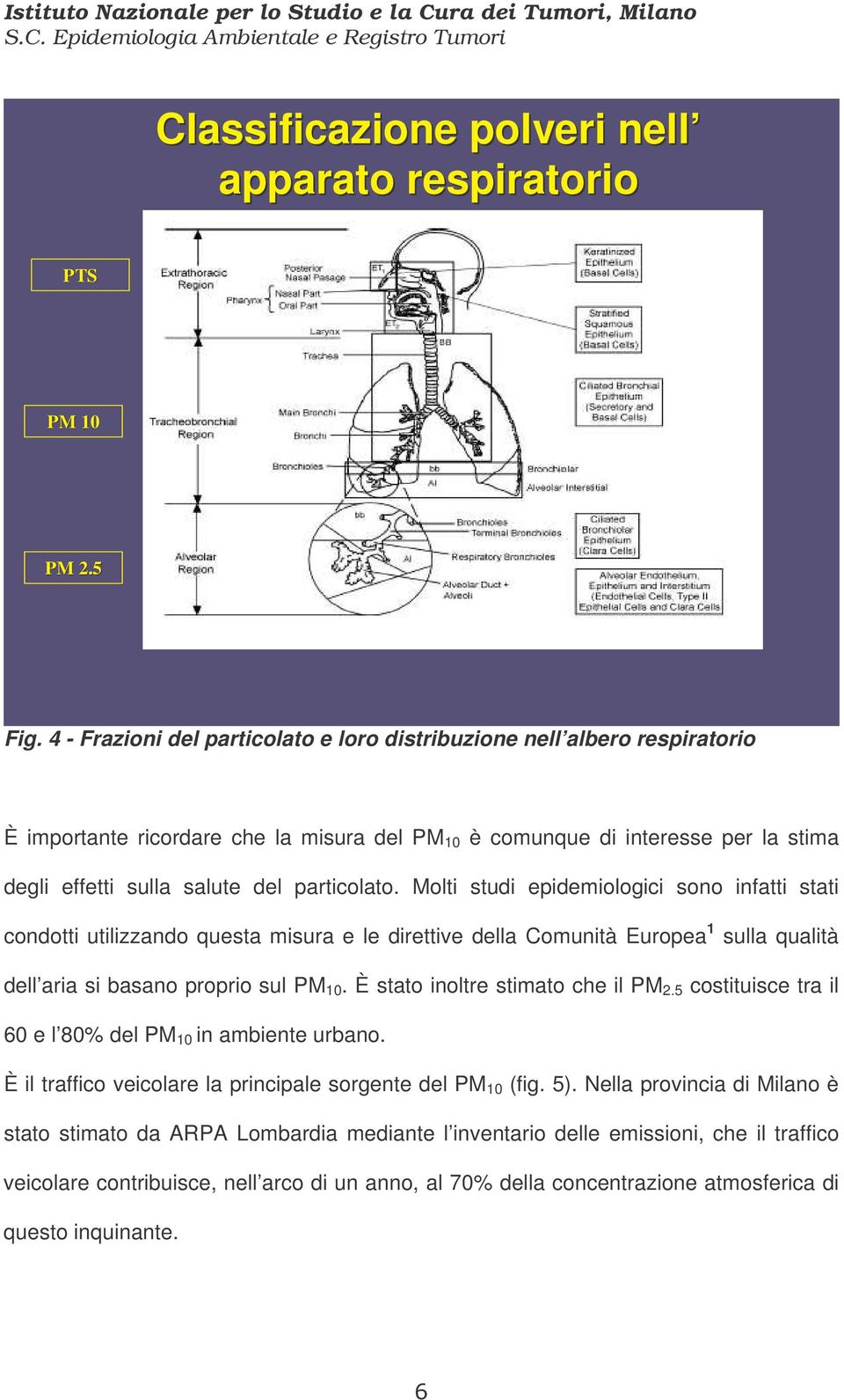 particolato. Molti studi epidemiologici sono infatti stati condotti utilizzando questa misura e le direttive della Comunità Europea 1 sulla qualità dell aria si basano proprio sul PM 10.