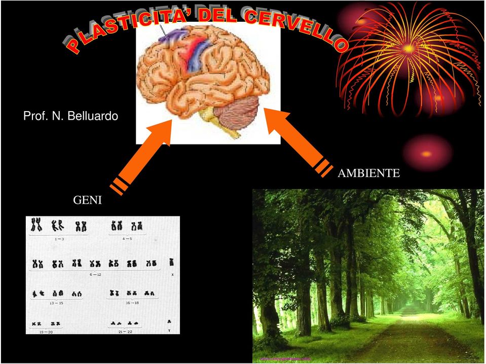 AMBIENTE