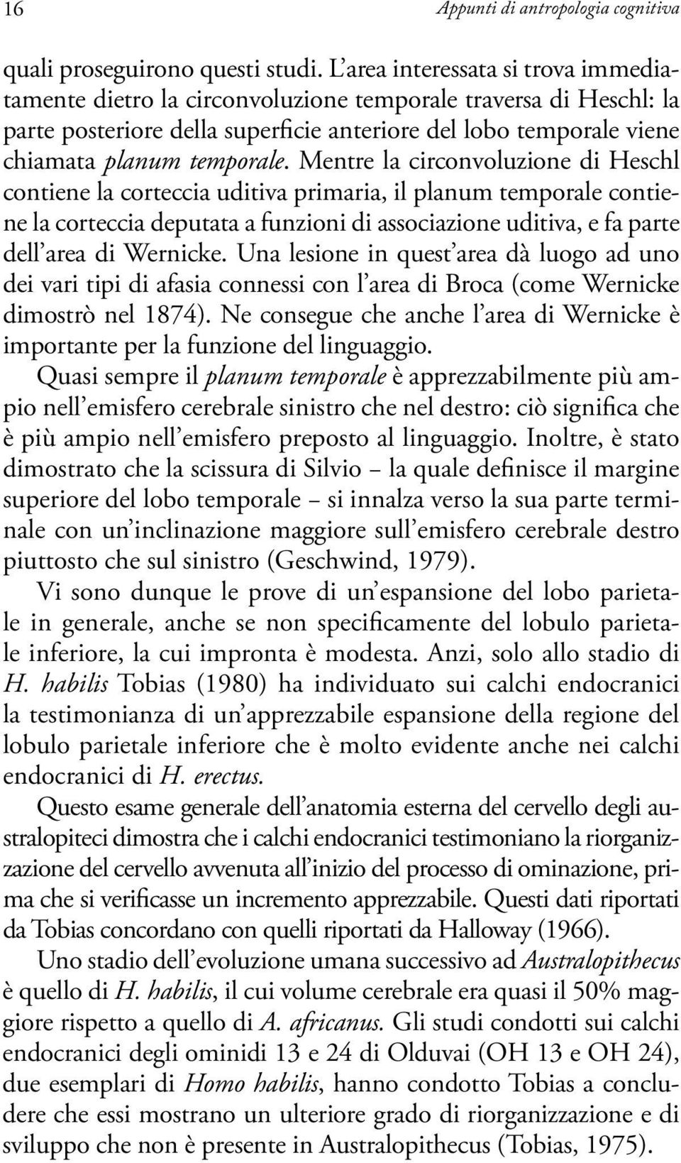 Mentre la circonvoluzione di Heschl contiene la corteccia uditiva primaria, il planum temporale contiene la corteccia deputata a funzioni di associazione uditiva, e fa parte dell area di Wernicke.