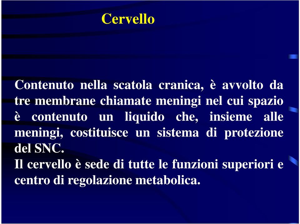 alle meningi, costituisce un sistema di protezione del SNC.