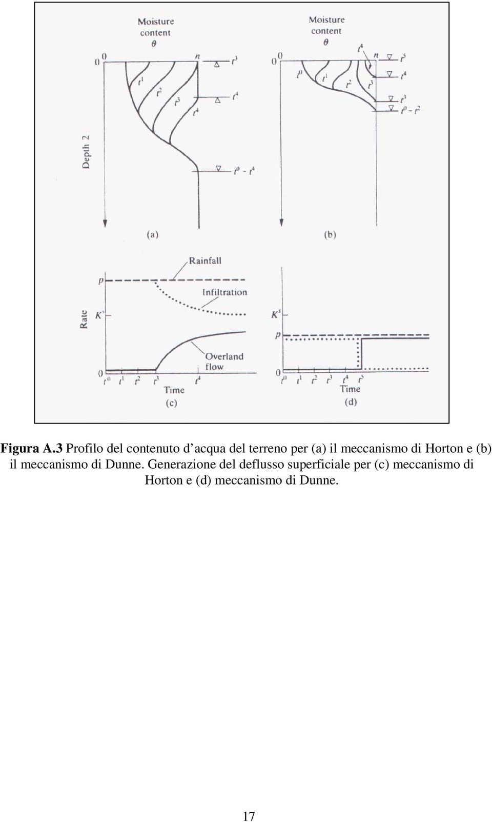 il meccanismo di Horton e (b) il meccanismo di Dunne.