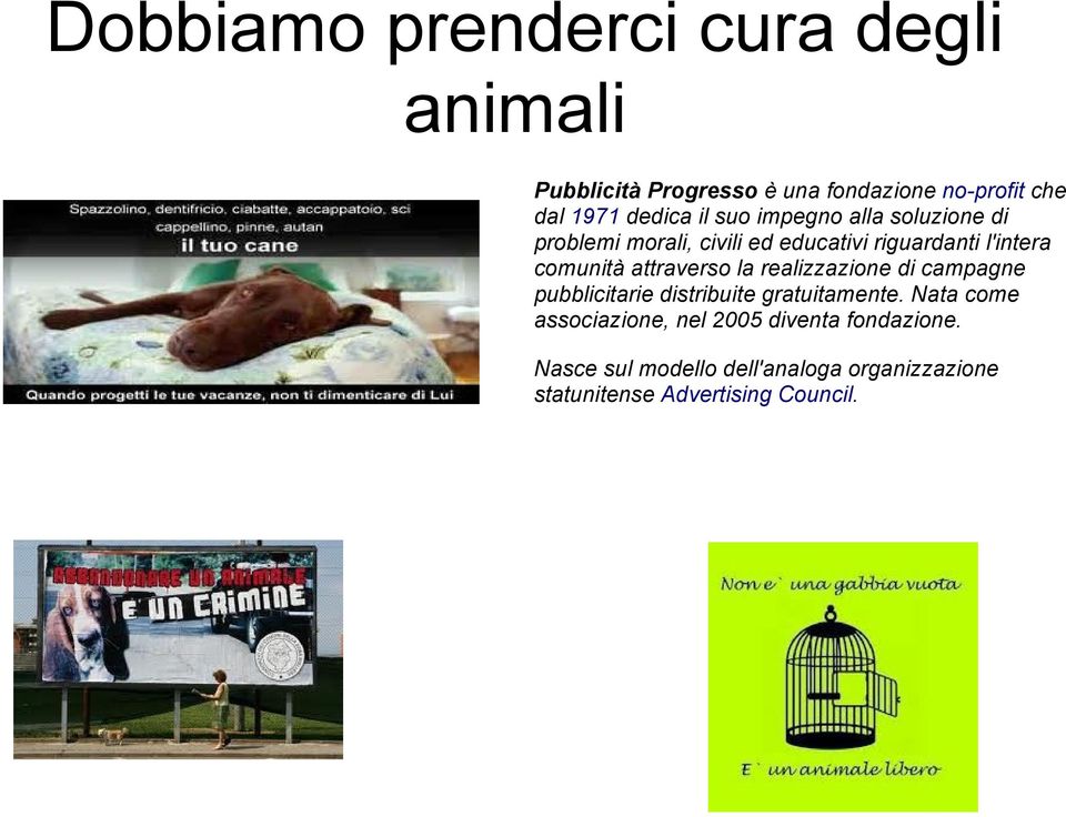 comunità attraverso la realizzazione di campagne pubblicitarie distribuite gratuitamente.