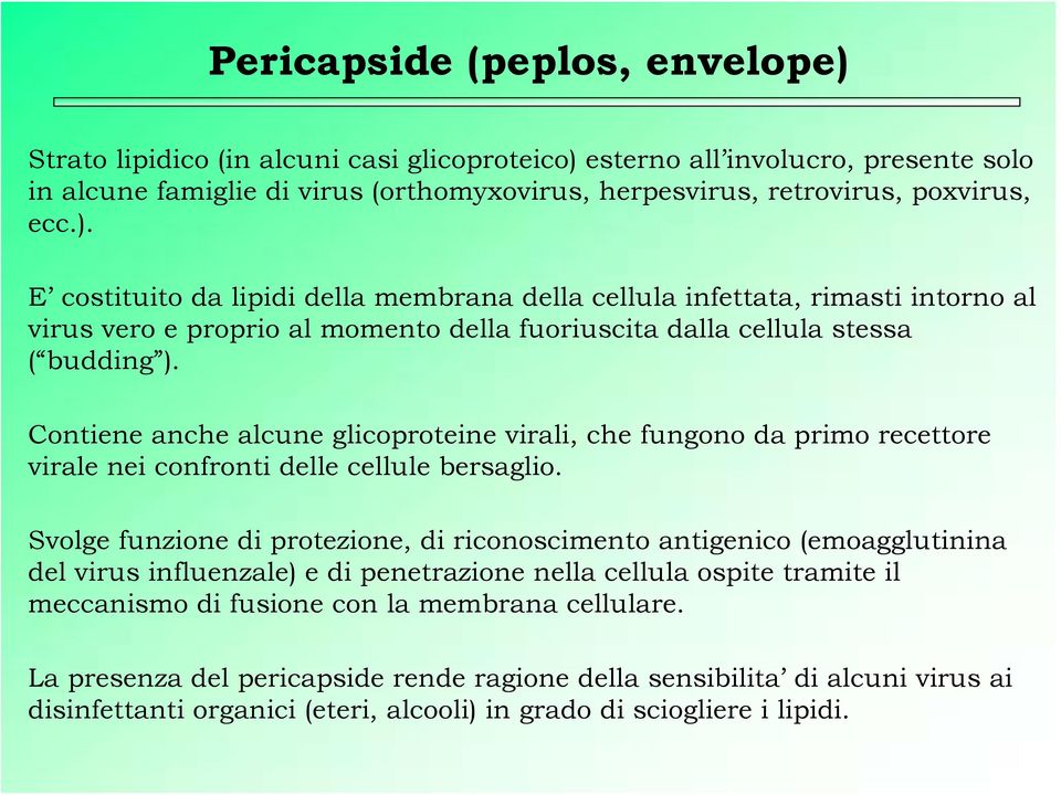 Contiene anche alcune glicoproteine virali, che fungono da primo recettore virale nei confronti delle cellule bersaglio.