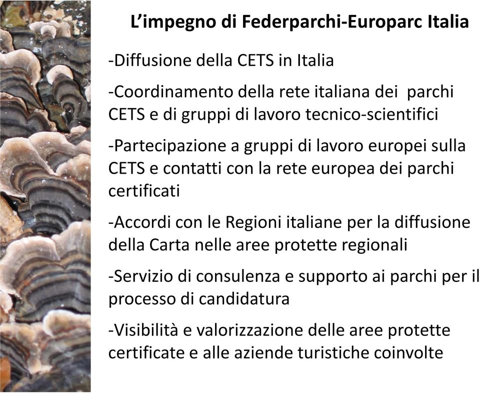 certificati -Accordi con le Regioni italiane per la diffusione della Carta nelle aree protette regionali -Servizio di consulenza e