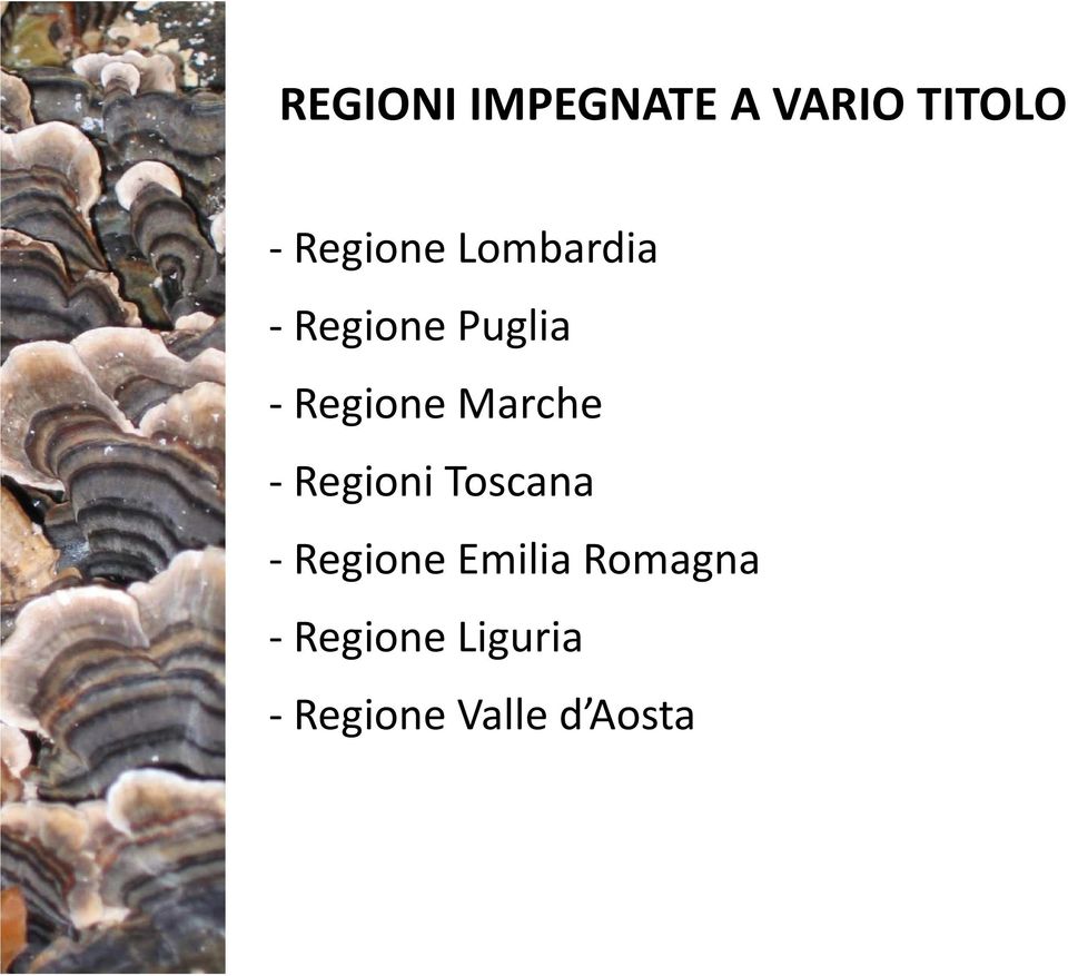 Marche - Regioni Toscana - Regione Emilia