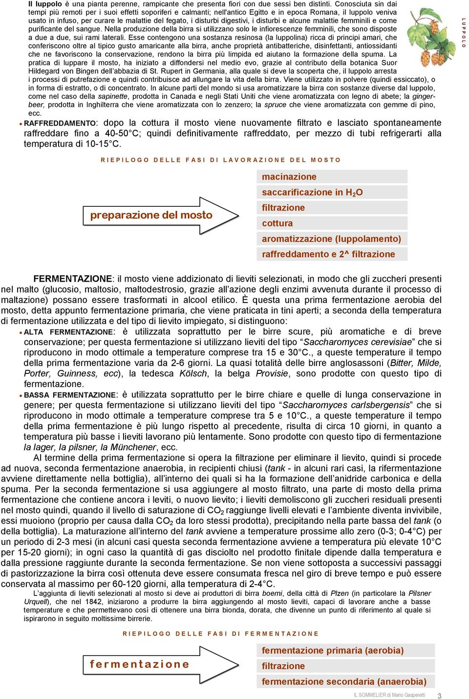 digestivi, i disturbi e alcune malattie femminili e come purificante del sangue.