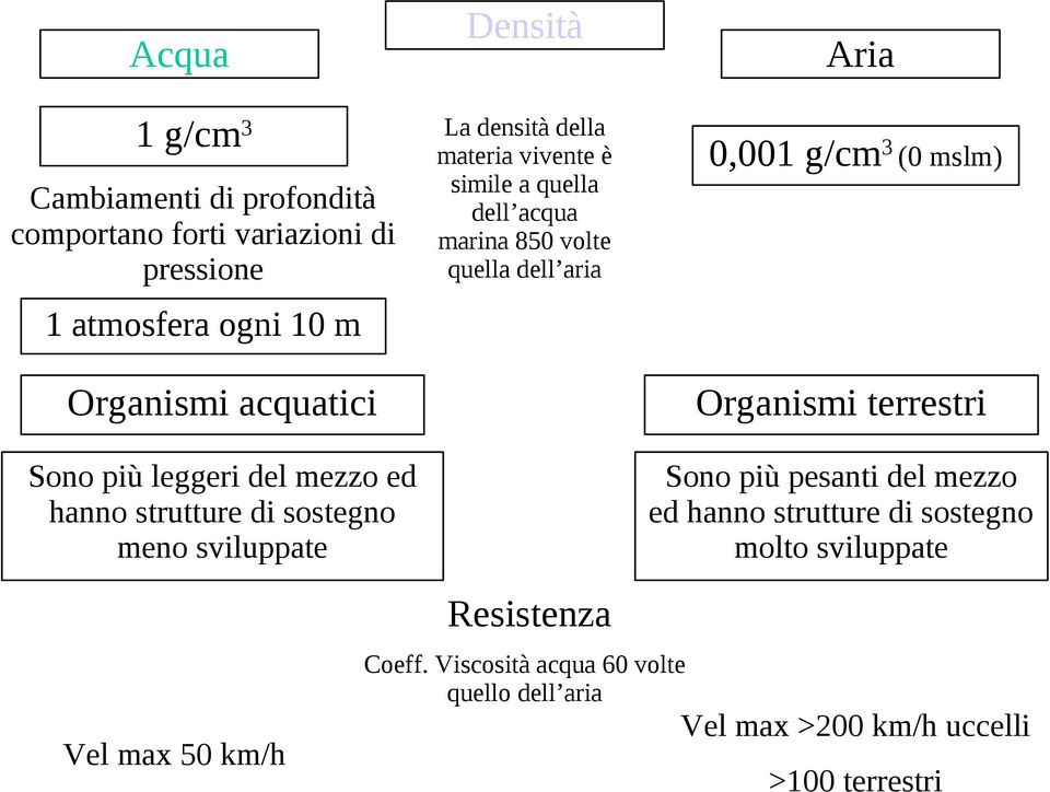 terrestri Sono più leggeri del mezzo ed hanno strutture di sostegno meno sviluppate Sono più pesanti del mezzo ed hanno strutture di