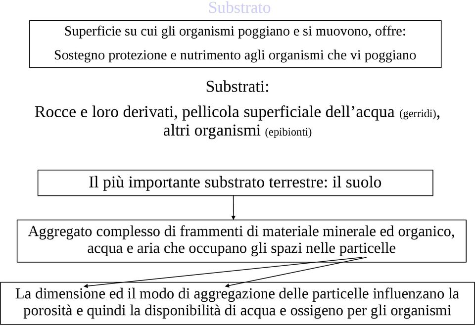 terrestre: il suolo Aggregato complesso di frammenti di materiale minerale ed organico, acqua e aria che occupano gli spazi nelle