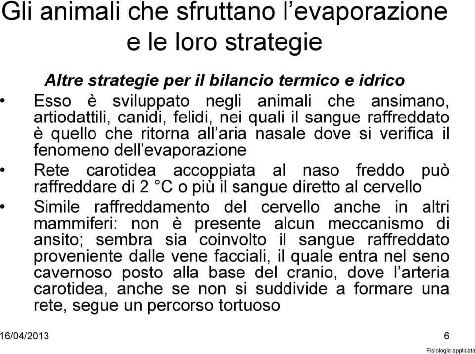 sangue diretto al cervello Simile raffreddamento del cervello anche in altri mammiferi: non è presente alcun meccanismo di ansito; sembra sia coinvolto il sangue raffreddato proveniente