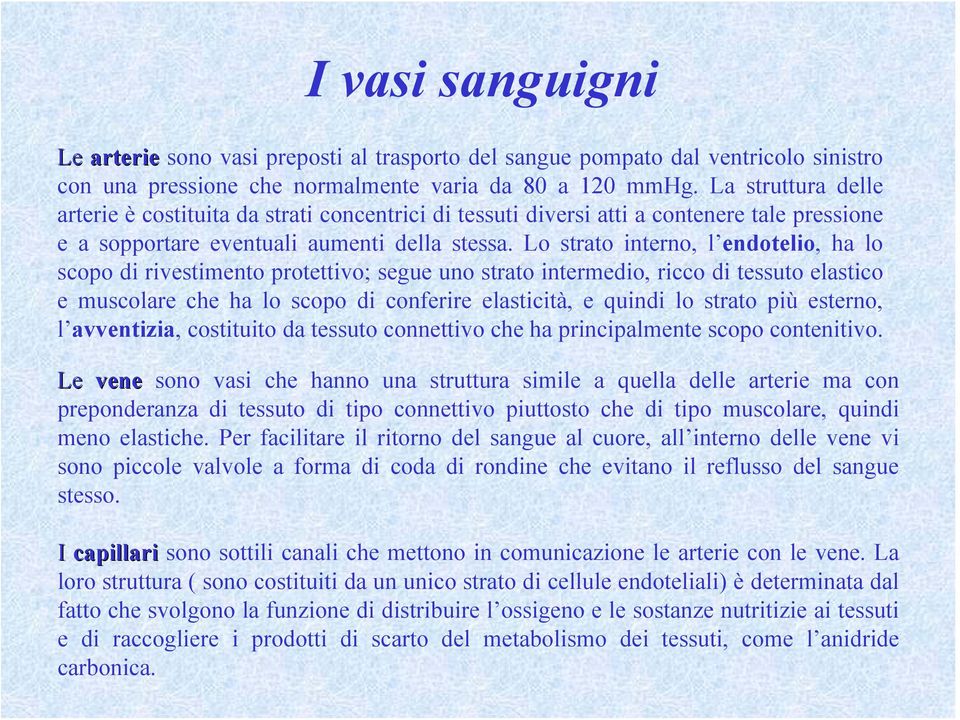 Lo strato interno, l endotelio, ha lo scopo di rivestimento protettivo; segue uno strato intermedio, ricco di tessuto elastico e muscolare che ha lo scopo di conferire elasticità, e quindi lo strato