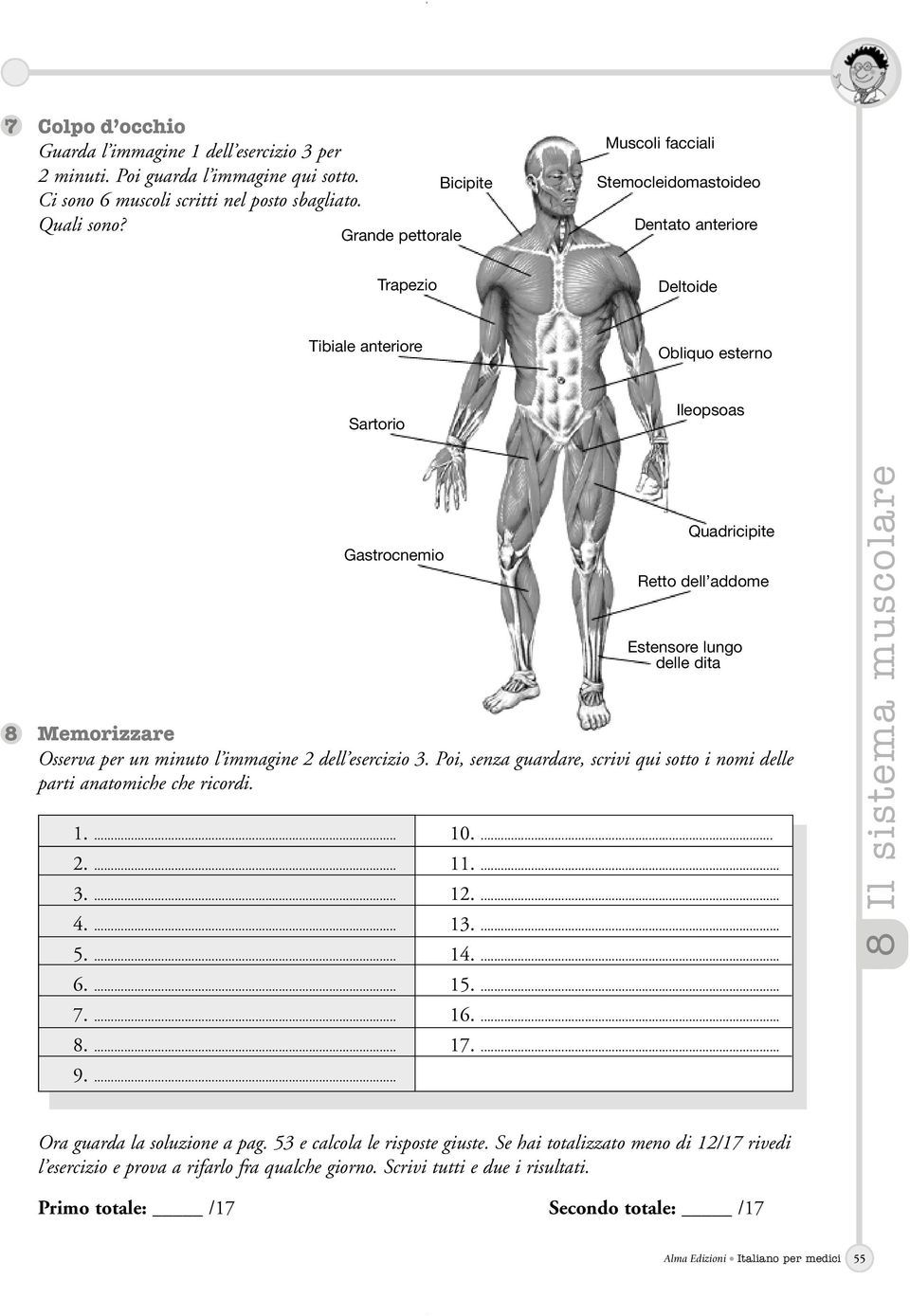 Estensore lungo delle dita Memorizzare Osserva per un minuto l immagine 2 dell esercizio 3. Poi, senza guardare, scrivi qui sotto i nomi delle parti anatomiche che ricordi. 1.... 2.... 3.... 10.... 11.