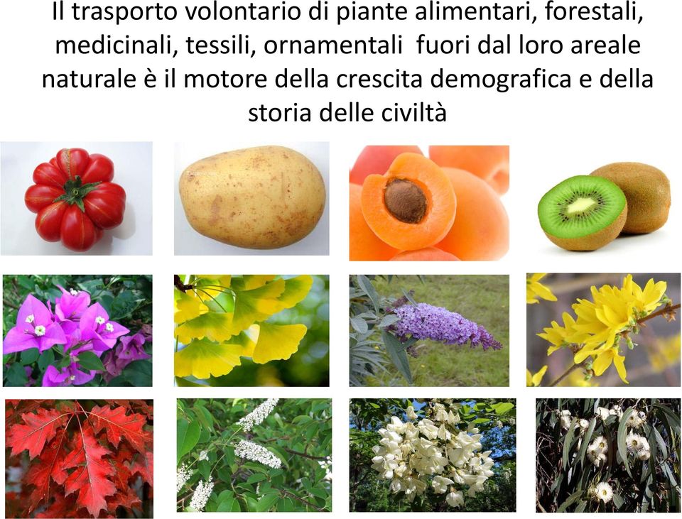 fuori dal loro areale naturale è il motore