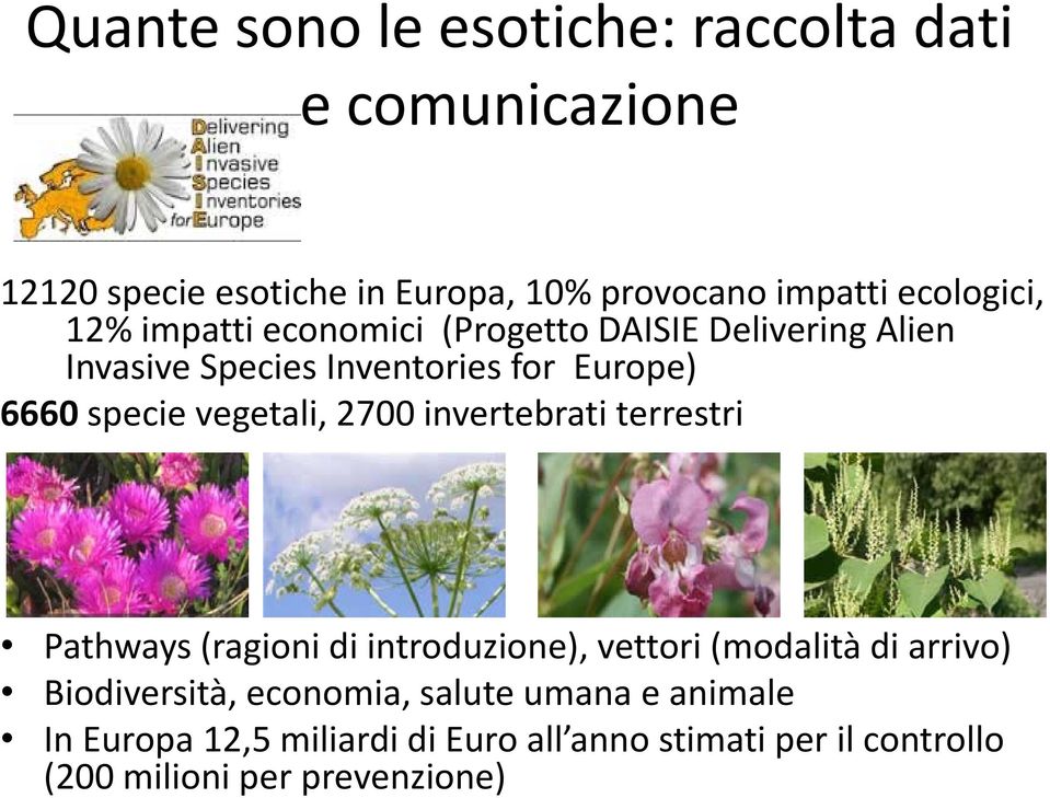 specie vegetali, 2700 invertebrati terrestri Pathways (ragioni di introduzione), vettori (modalità di arrivo)