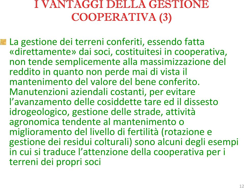 Manutenzioni aziendali costanti, per evitare l avanzamento delle cosiddette tare ed il dissesto idrogeologico, gestione delle strade, attività agronomica tendente