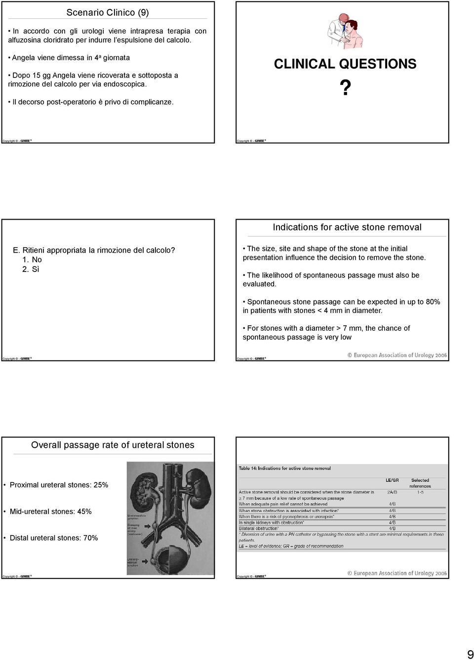 Indications for active stone removal E. Ritieni appropriata la rimozione del calcolo? 1. No 2.