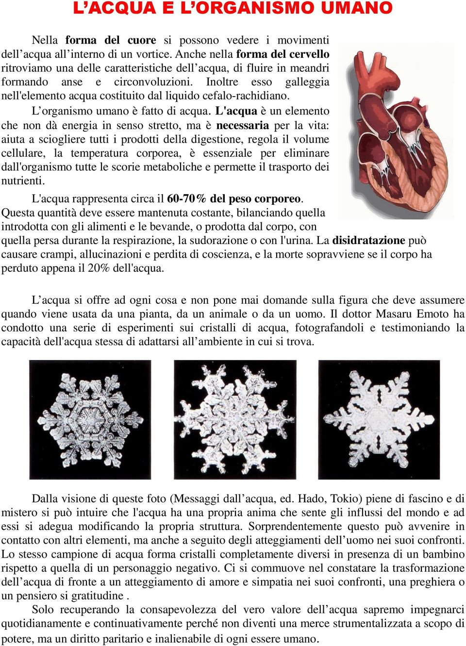 Inoltre esso galleggia nell'elemento acqua costituito dal liquido cefalo-rachidiano. L organismo umano è fatto di acqua.