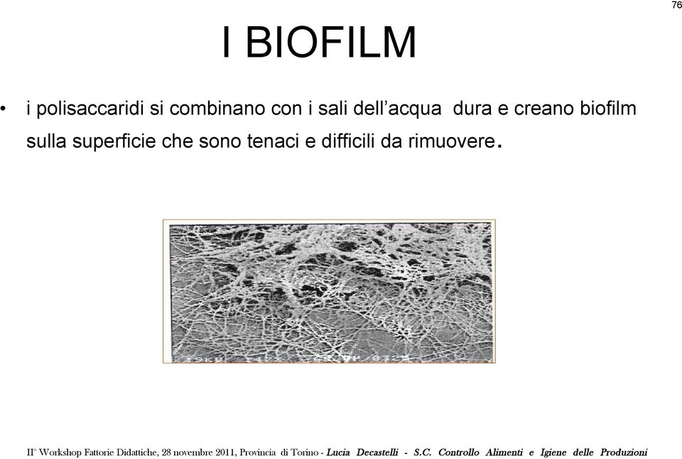 dura e creano biofilm sulla