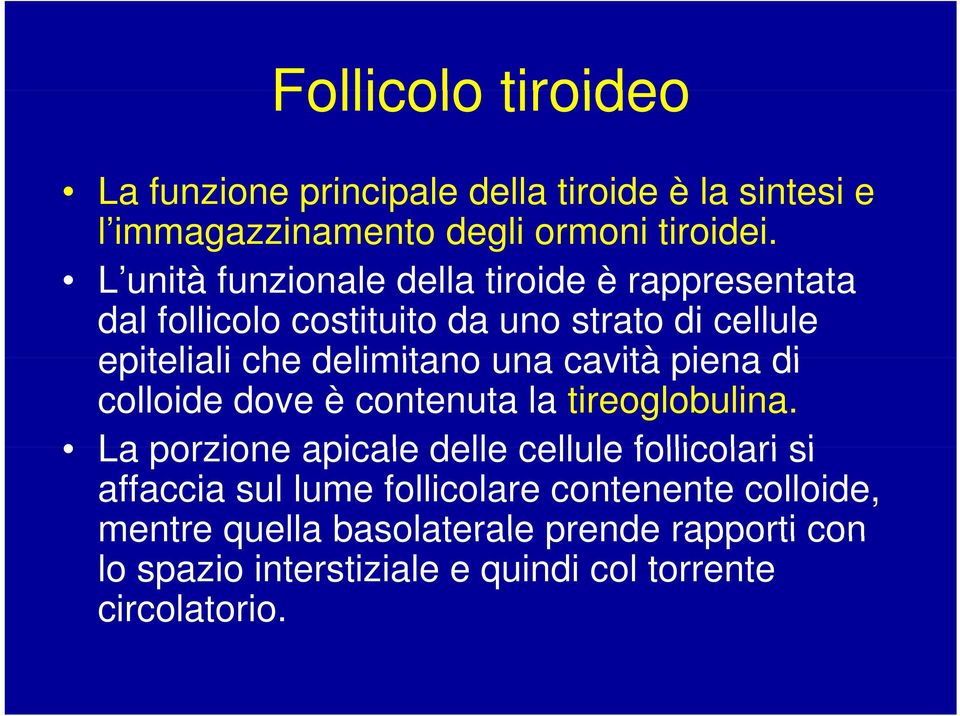 una cavità piena di colloide dove è contenuta la tireoglobulina.