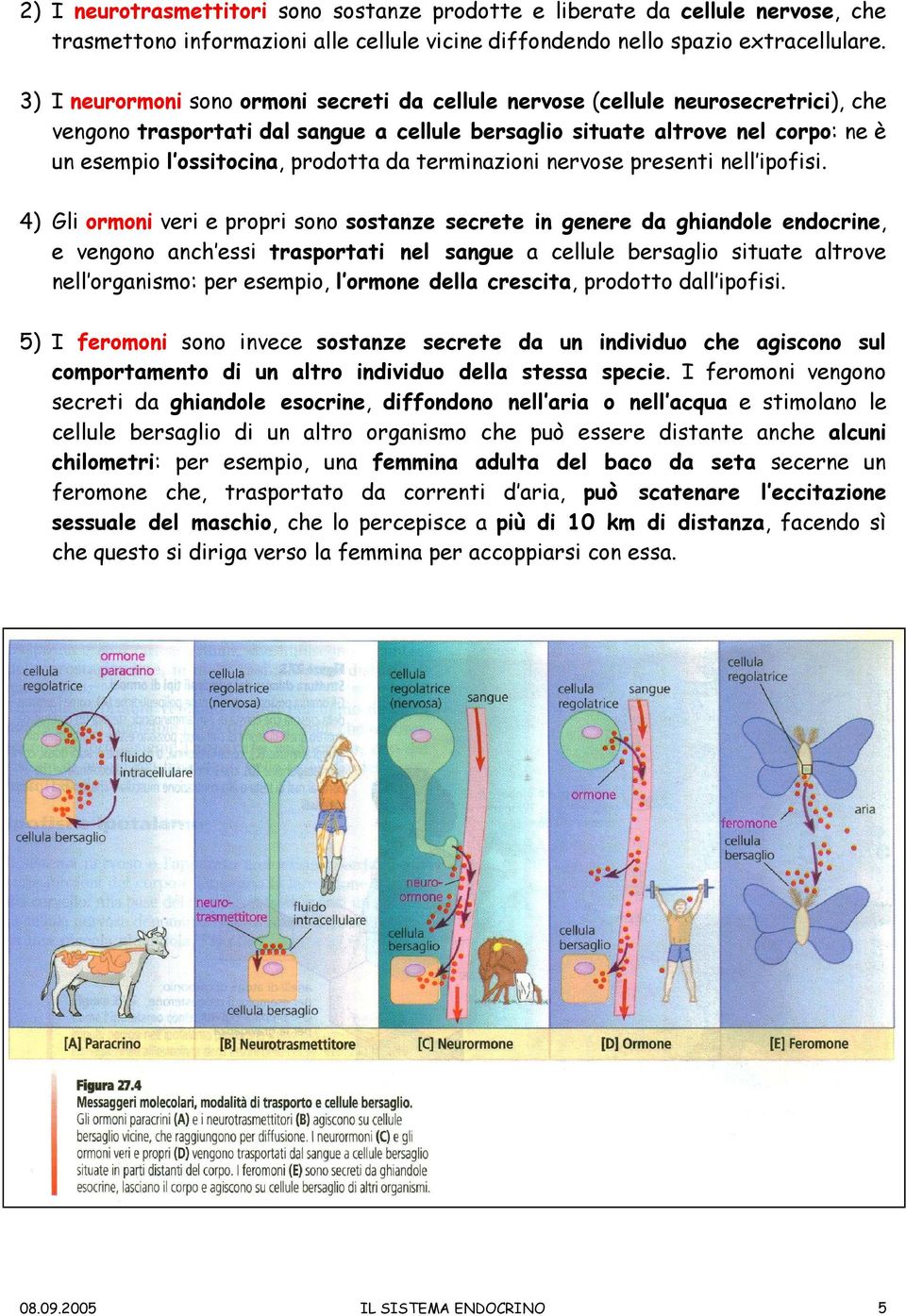 prodotta da terminazioni nervose presenti nell ipofisi.