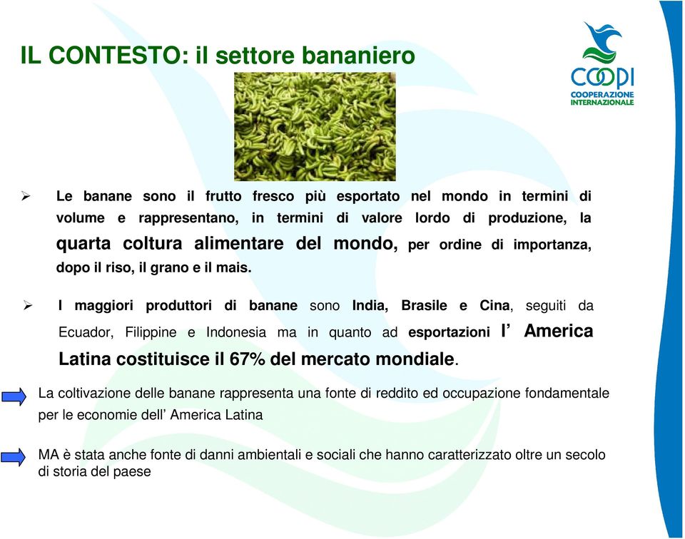 I maggiori produttori di banane sono India, Brasile e Cina, seguiti da Ecuador, Filippine e Indonesia ma in quanto ad esportazioni l America Latina costituisce il 67% del