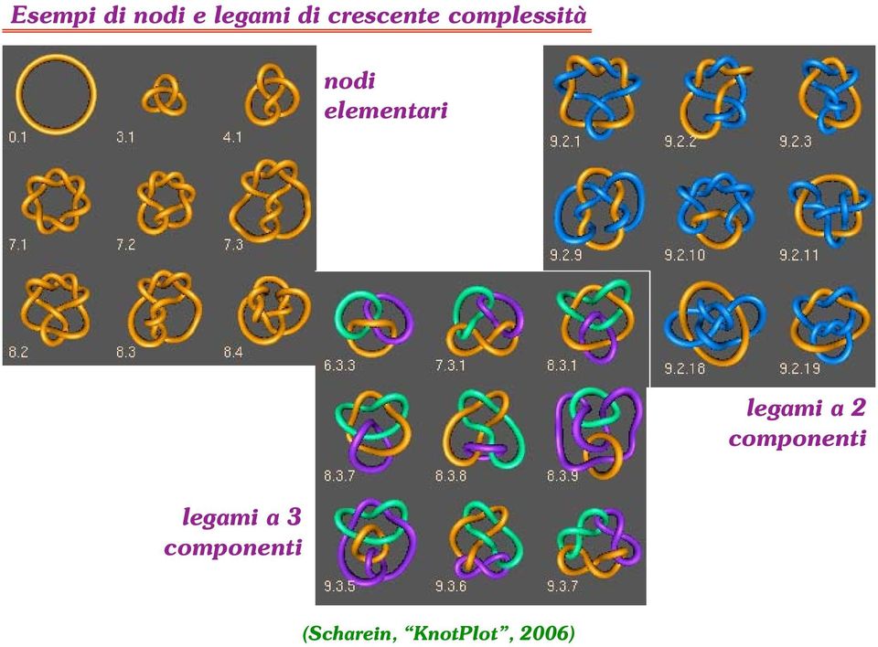 elementari legami a 2 componenti