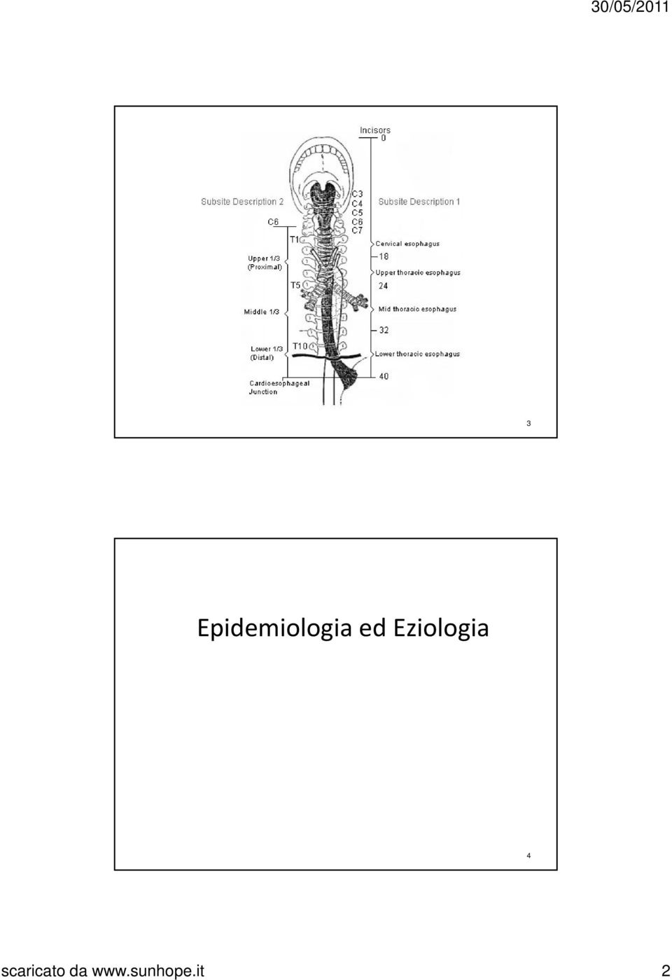 ed Eziologia 4