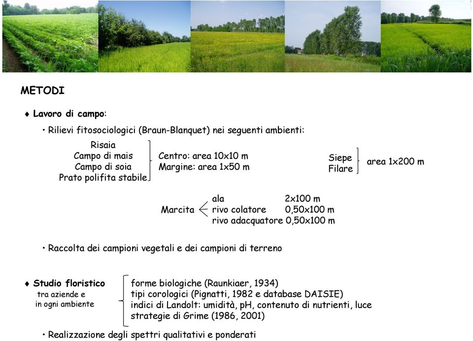 vegetali e dei campioni di terreno Studio floristico tra aziende e in ogni ambiente forme biologiche (Raunkiaer, 1934) tipi corologici (Pignatti, 1982 e