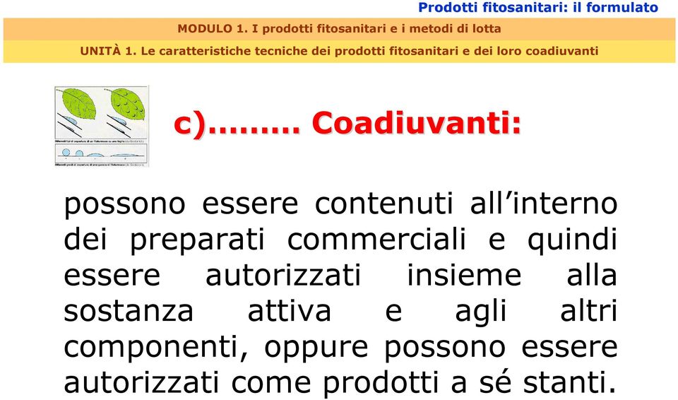 essere autorizzati insieme alla sostanza attiva e agli altri