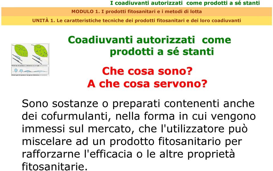 Sono sostanze o preparati contenenti anche dei cofurmulanti, nella forma in cui vengono