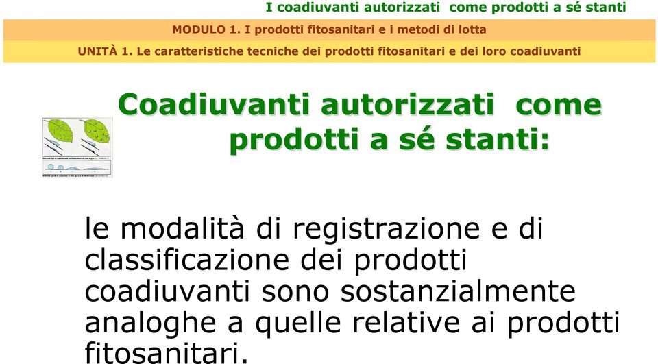 di registrazione e di classificazione dei prodotti coadiuvanti