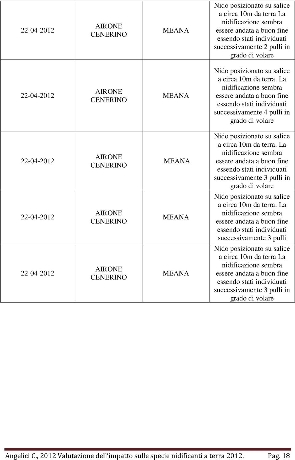 La nidificazione sembra successivamente 3 pulli in grado di volare 22-04-2012 AIRONE CENERINO MEANA Nido posizionato su salice a circa 10m da terra.