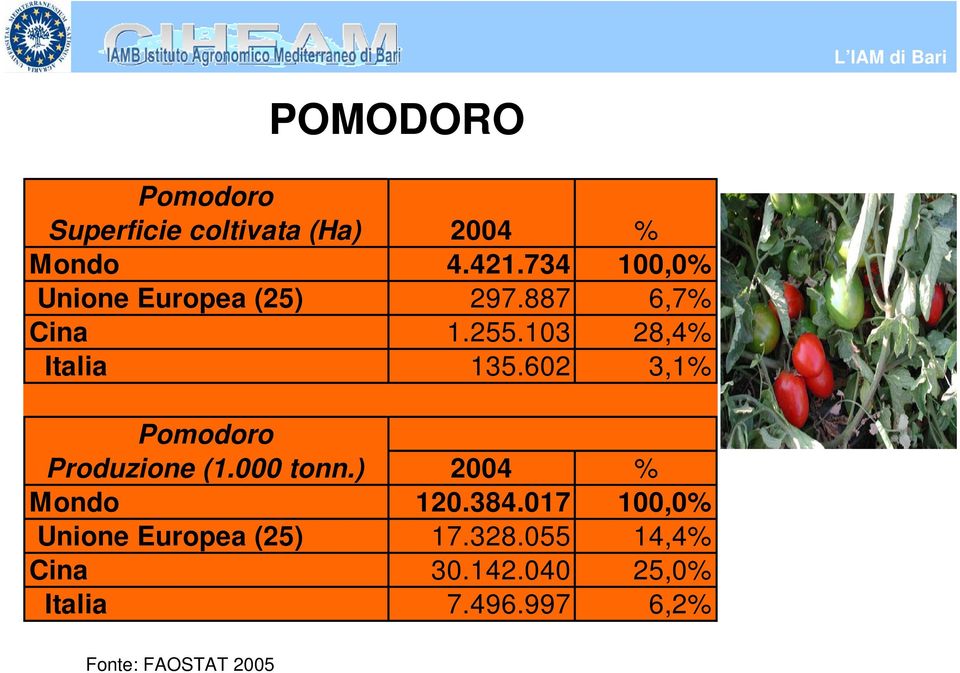 602 3,1% Pomodoro Produzione (1.000 tonn.) 2004 % Mondo 120.384.