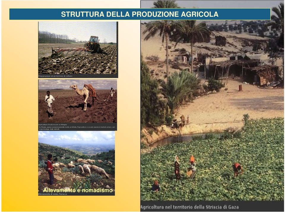 PRODUZIONE