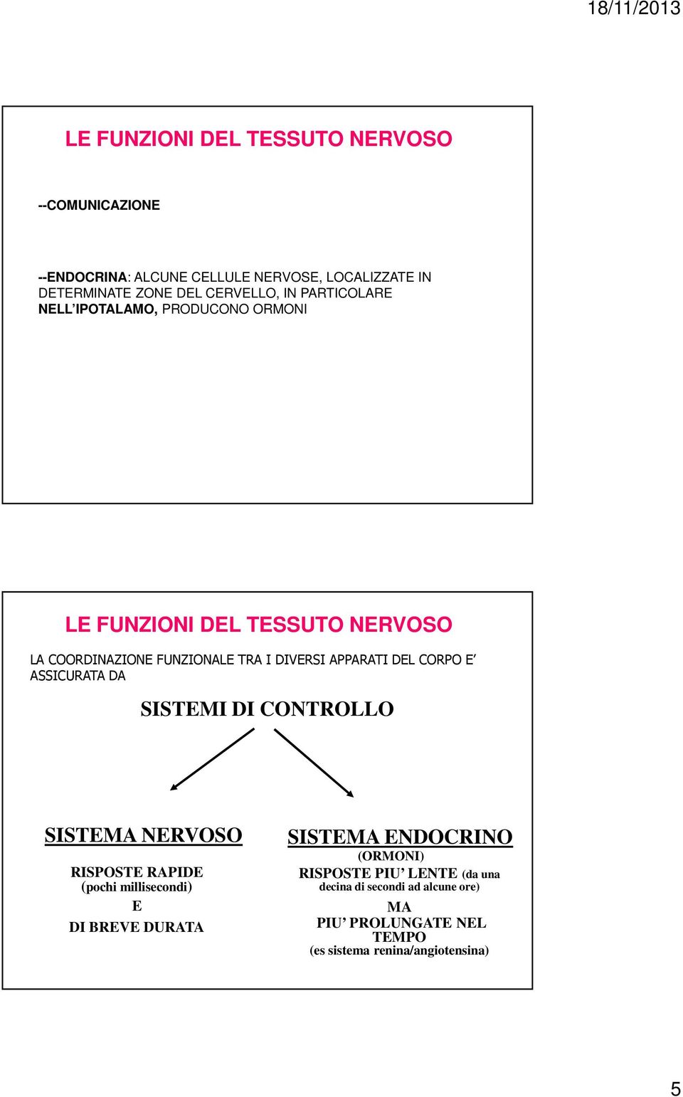 DEL CORPO E ASSICURATA DA SISTEMI DI CONTROLLO SISTEMA NERVOSO RISPOSTE RAPIDE (pochi millisecondi) E DI BREVE DURATA SISTEMA