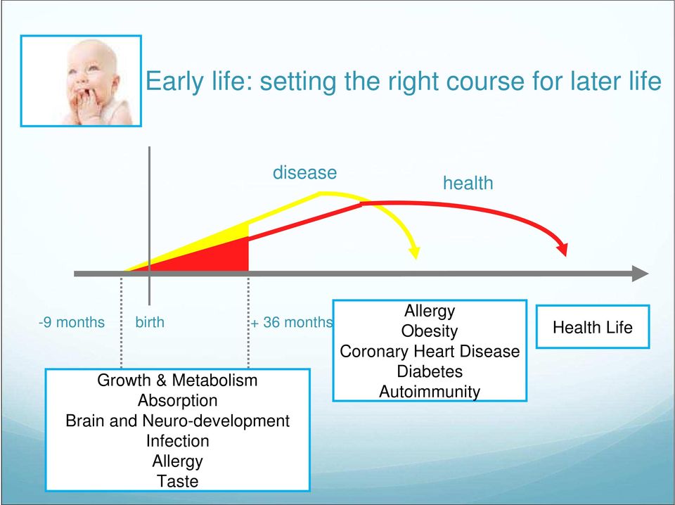 Absorption Brain and Neuro-development Infection Allergy Taste