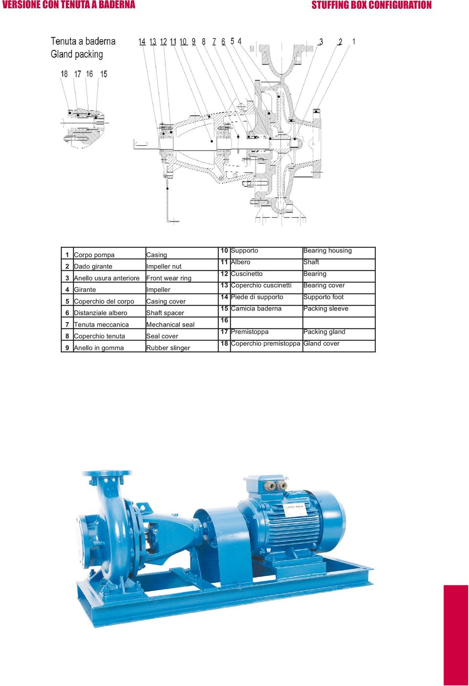 tenuta Seal cover 9 Anello in gomma Rubber slinger 10 Supporto Bearing housing 11 Albero Shaft 12 Cuscinetto Bearing 13 Coperchio cuscinetti