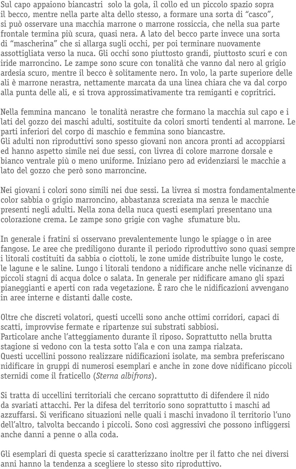 A lato del becco parte invece una sorta di mascherina che si allarga sugli occhi, per poi terminare nuovamente assottigliata verso la nuca.