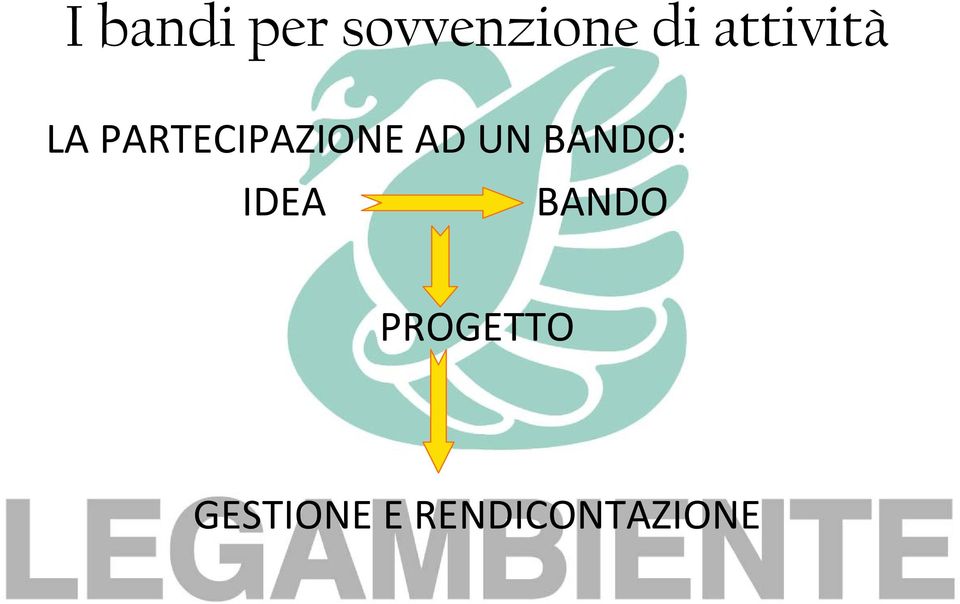 AD UN BANDO: IDEA BANDO